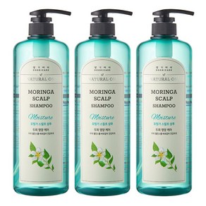 댕기머리 허벌 모링가 스칼프 샴푸 1000ml 3개, 1L