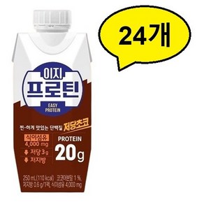파스퇴르 이지프로틴 저당 초코, 250ml, 24개