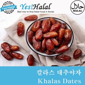 Date Khalas / 대추야자