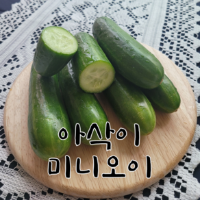 [청연가] 칠곡 아삭이 미니오이 스낵오이, 1박스, 500g
