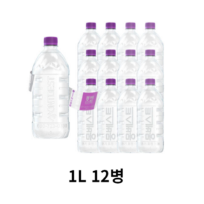 몽베스트 생수 330ml, 1L, 12개