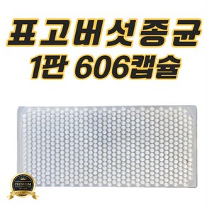 친환경마켓 표고버섯종균 (1판606알) - 표고 종균 텃밭 주말농장 표고버섯종균 참나무 종균, 01. 표고버섯종균 1판 606알