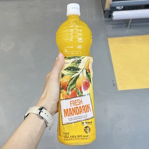 Fesh 제주감귤음료, 1.5L, 1개