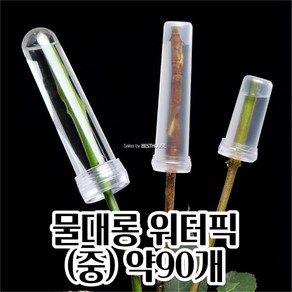 생화 한송이 꽃 포장 워터픽 15X70MM 물대롱 약90개 꽃선물 선물포장 꽃자재 화훼용품, 1개