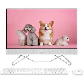 HP 올인원 일체형 PC 스타리 화이트 24-df1099KR (i5-1135G7 60.5cm WIN11 Home RAM 8GB NVMe 512GB), 기본형