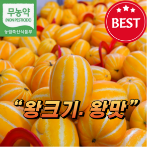 [청정밥상] 성주 참외 최상품 대사이즈 2kg 3kg 5kg, 1박스, 성주 참외 최상급 5kg ( 대과 / 9-15과)