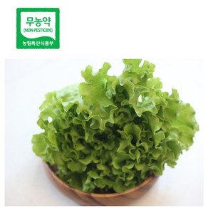 1kg 유럽상추 카이피라 단품, 1개