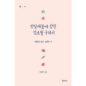 진달래꽃에 갇힌 김소월 구하기:새롭게 읽는 소월의 시, 한티재, 박일환