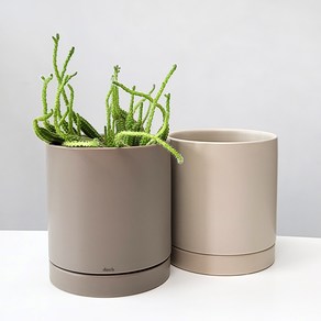 식물시간 cocoa beige pot 코코아 베이지 원형 도자기 화분, 베이지(연한색), 1개