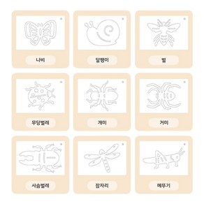 곤충 물감 찍기 도안 9종세트 물세척 재사용가능 스텐실 카드 인지 그림놀이