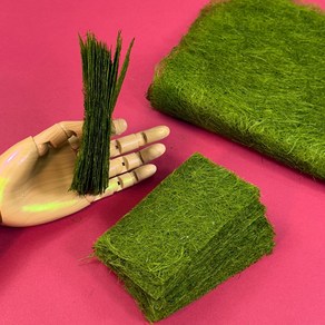 [돌마리상회] 자연산 생감태 햇감태 건조감태, 2개, 50g