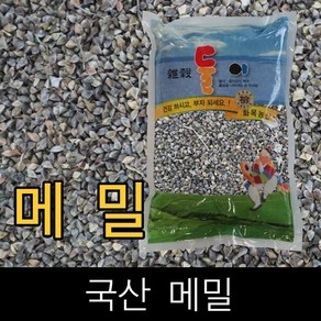 둘이 . 국산 . 메밀 (통메밀) . 1kg . 2023년산 . 묶음배송가능