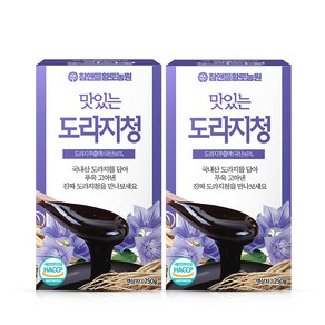 데이앤 맛있는 도라지청 250g, 2개