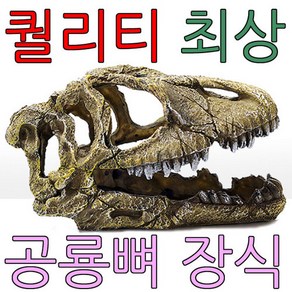 파충류 도마뱀 은신처 도핀 공룡뼈 거북이 일광욕, 1개