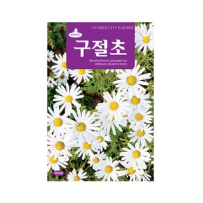 (CN) 구절초 씨앗 (1000립)