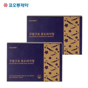 [코오롱제약] 구증구포 흑도라지청 [10g*30포] * 2박스, 300g, 2개