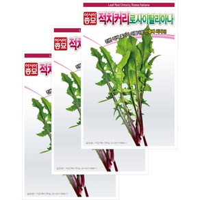 아시아종묘 씨앗 치커리 로사이탈리아나 1500립 3ea, 3개