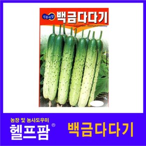 헬프팜 백금다다기 50립 종자 오이 씨앗 진흥종묘, 1개