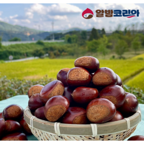 2024년 공주 정안밤 대 특 2kg 4kg 공주밤 알밤 햇밤 산지직송 GAP인증, 공주 정안밤 대 2kg, 1개