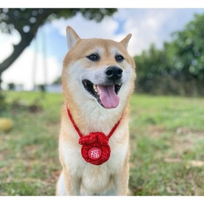 강아지 고양이 복주머니 명절 설날 추석 용돈주머니