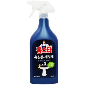 홈스타 욕실용 세정제, 750ml, 5개, .