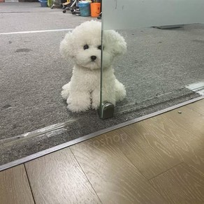 진짜같은 비숑 강아지 인형 뽀글이 35cm 봉제인형, 높이 35cm 비숑, 1개