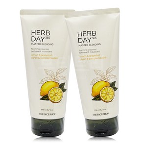 더페이스샵 허브데이 365 클렌징폼 170ml 레몬앤자몽 X 2개, 1개