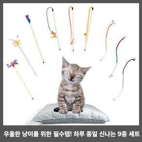 펫벨리 고양이 우울증 치료 장난감, 1개, B