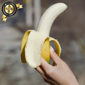 고당도 직수입 바나나 생과 Dole 생바나나 banana