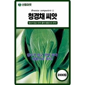 KS종묘 청경채 씨앗 2000립 엽수가 많고 맛이 좋고 초세가 강한 국내산 고급 품종 종자, 1개