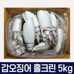 손질 갑오징어 홀크린 5kg 베트남산 껍질내장제거 냉동갑오징어 벌크, 200/300, 1개