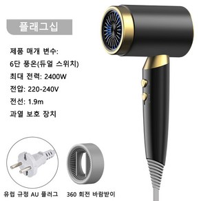 BITERE 가정용 빠른 건조 음이온 보호 경량 헤어드라이어, 금색, 2400W