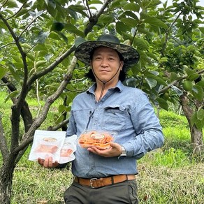 큰집농원 국대 감말랭이 300g 400g 곶감 대봉 감말랭이 생산자 직판, 3개