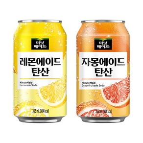 [한번에먹자] 미닛메이드 자몽에이드 탄산 355ml 6캔 + 미닛메이드 레몬에이드 탄산 355ml 6캔 총 12캔, 12개