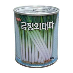 경신종묘 대파씨앗 금장외대파 80g