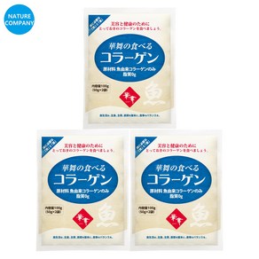 [최신유통기한 2025년 10월 1일] 하나마이 [8주프로그램] 일본 피쉬 콜라겐 100g 3세트 - 저분자 먹는 어류가루 피시분말 생선펩타이드 수용성