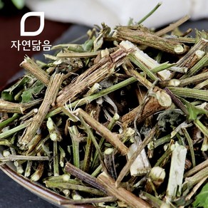 자연닮음 국산 구절초 차 300g, 1개