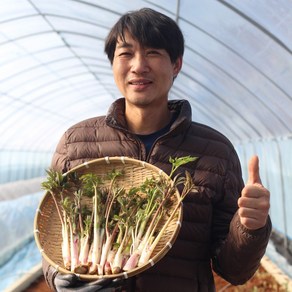 국내산 강원도 눈꽃땅두릅 산지직송, 1개, 땅두릅 250g