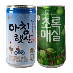 초록매실 180ml 30캔 + 아침햇살 180ml 30캔 / 총 60캔