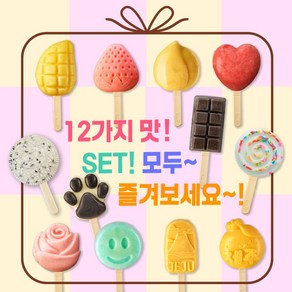 아이스팩토리 12가지 아이스크림 세트, 12개, 60g