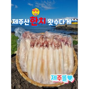 제주산 횟감용 급냉 한치 500g+500g, 2개