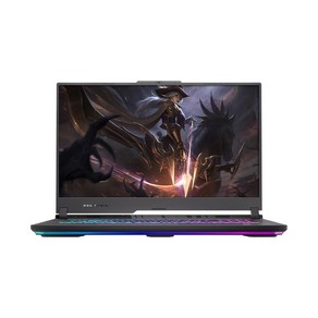 ASUS ROG STRIX G17 G713PI-LL005 / skit