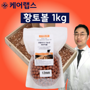 게르마늄 황토볼 편백나무 발지압 발마사지 경혈 어싱 케어랩스, 황토볼 1kg(12mm), 1개