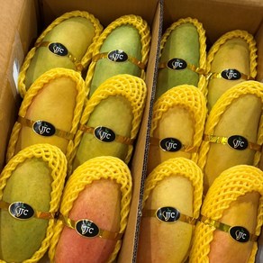 과즙폭발 고당도 마하차녹 무지개 망고, 1박스, 2kg(4-6과수내외)