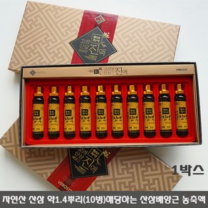 천년정성 비트로시스 고려 산삼배양근 진액 농축액 사포닌 150mg/g이상 고형분 80%이상 부모님 지인 선물세트, 10개