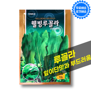 루꼴라 씨앗 12g 허브씨앗 루콜라 채소씨앗 루꼴라키우기