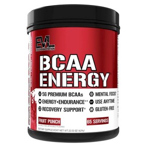 EVLUTIONNUTRITION BCAA 에너지 프루트펀치