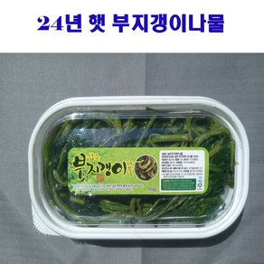 울릉도 삶은 부지갱이 나물 500g