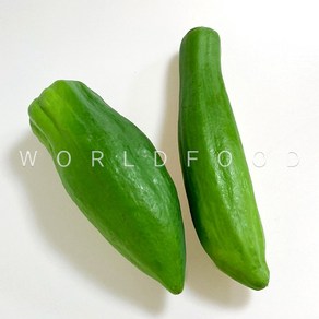 후레쉬 그린 파파야 500g+ 생파파야 쏨땀재료 papaya du du WORLDFOOD