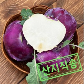 [산지직송] 슈퍼푸드 수분가득 특품 콜라비